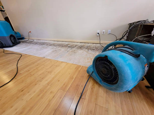 Professional Water Removal technician working in Calumet, PA